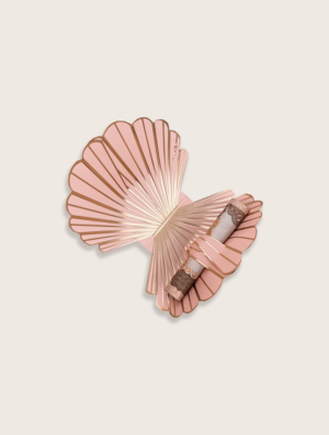 coral-seashell-open