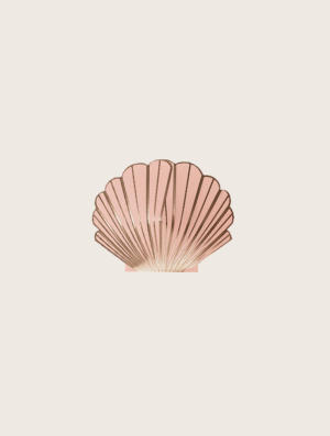 coral-seashell-plain