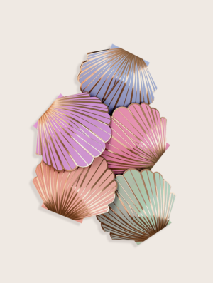 mix-seashell-plain